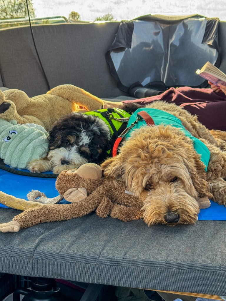 Thuis bij familie over de kook: week 40