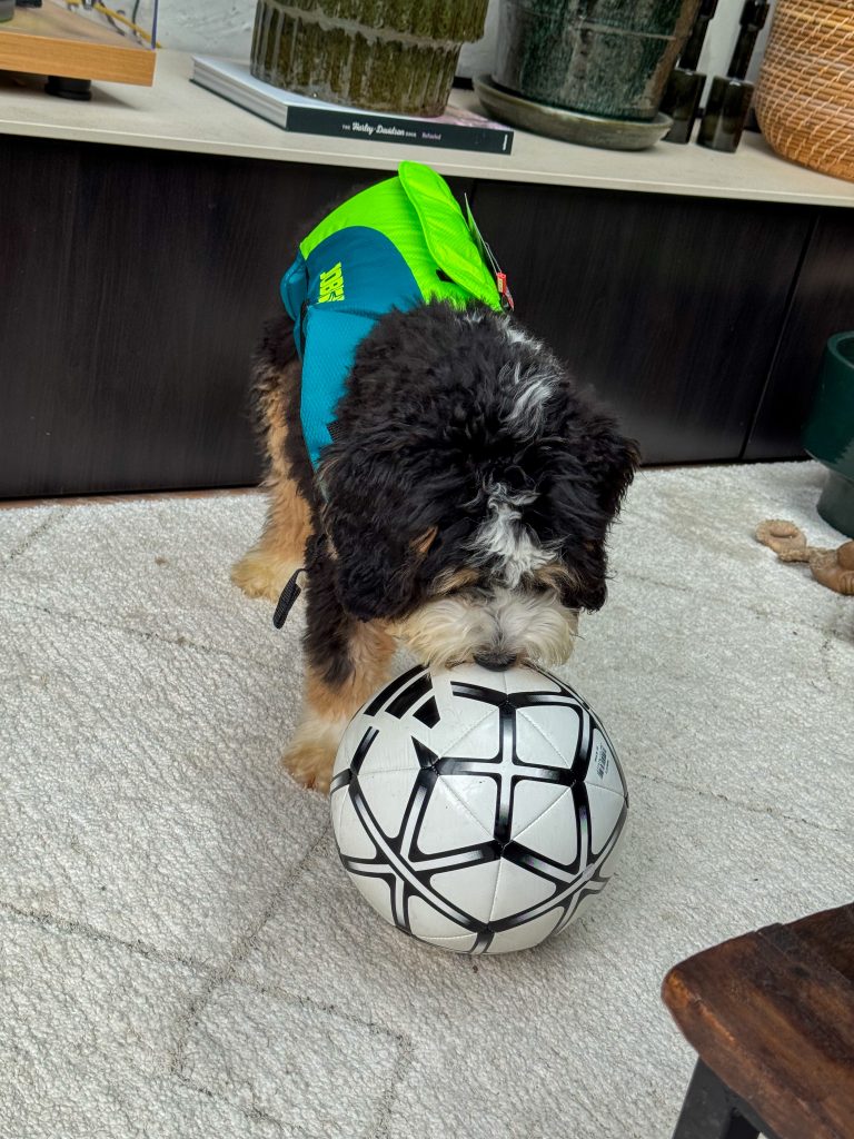 Thuis bij familie over de kook: week 40