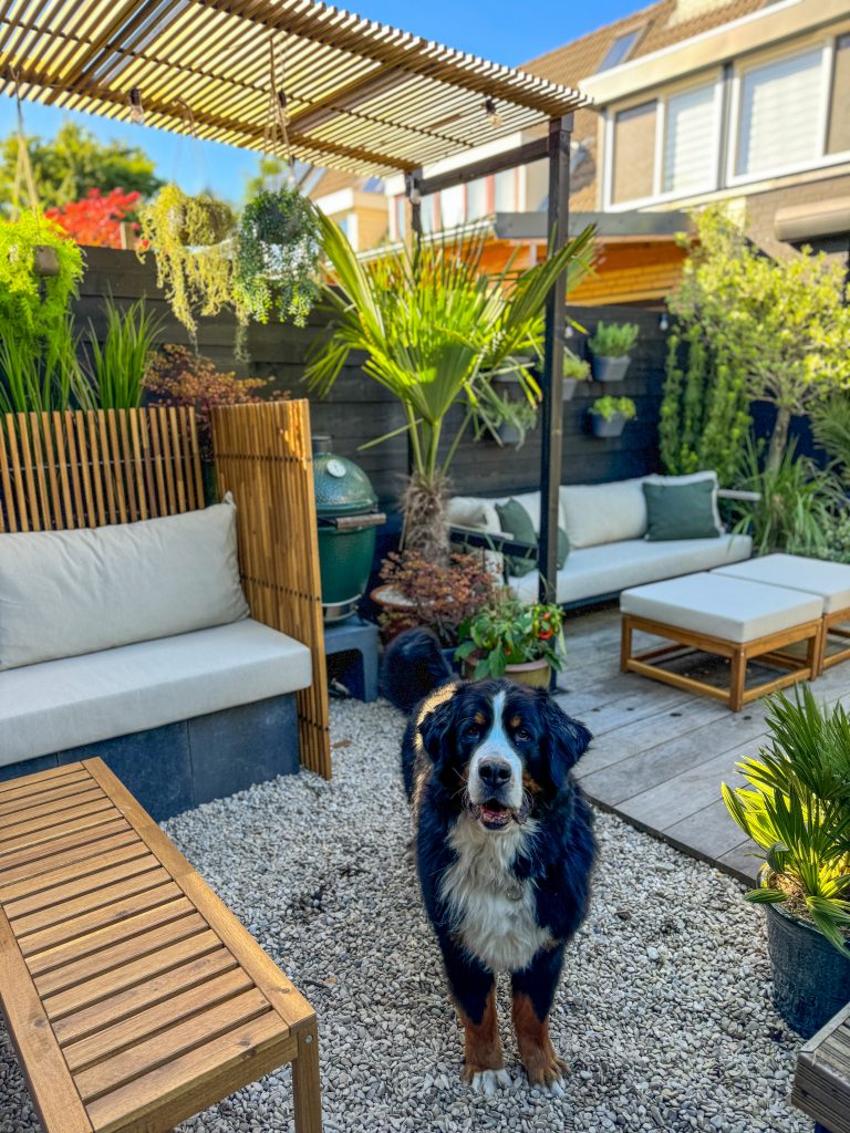 Thuis bij Familie over de kook: week 48