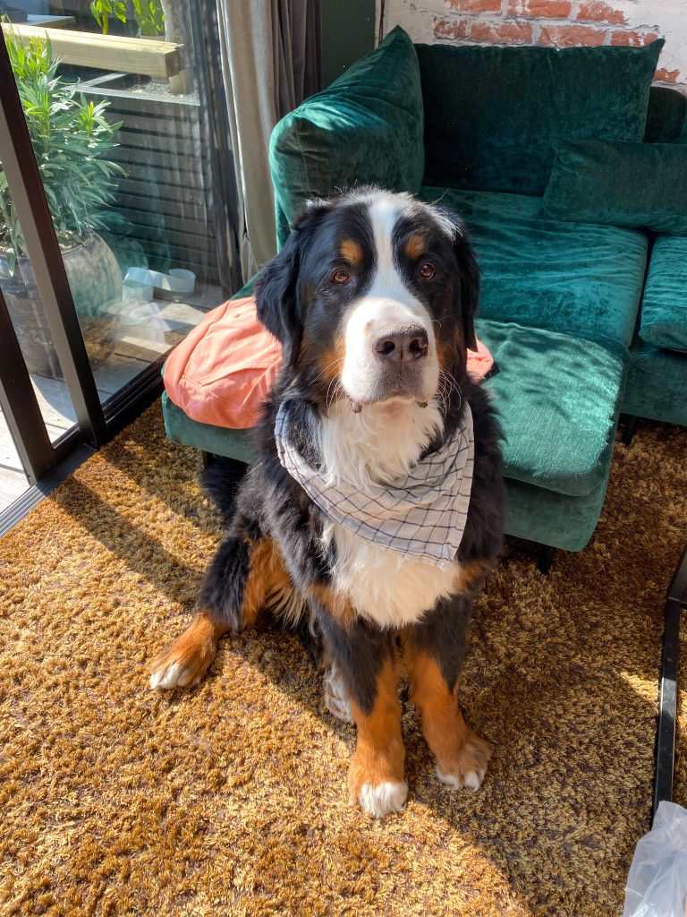 Thuis bij Familie over de kook: week 48