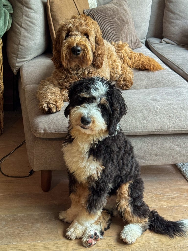 Teun en Legend samen voor de camera