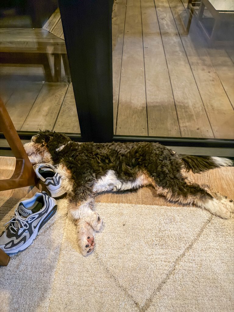 Thuis bij Familie over de Kook: week 45