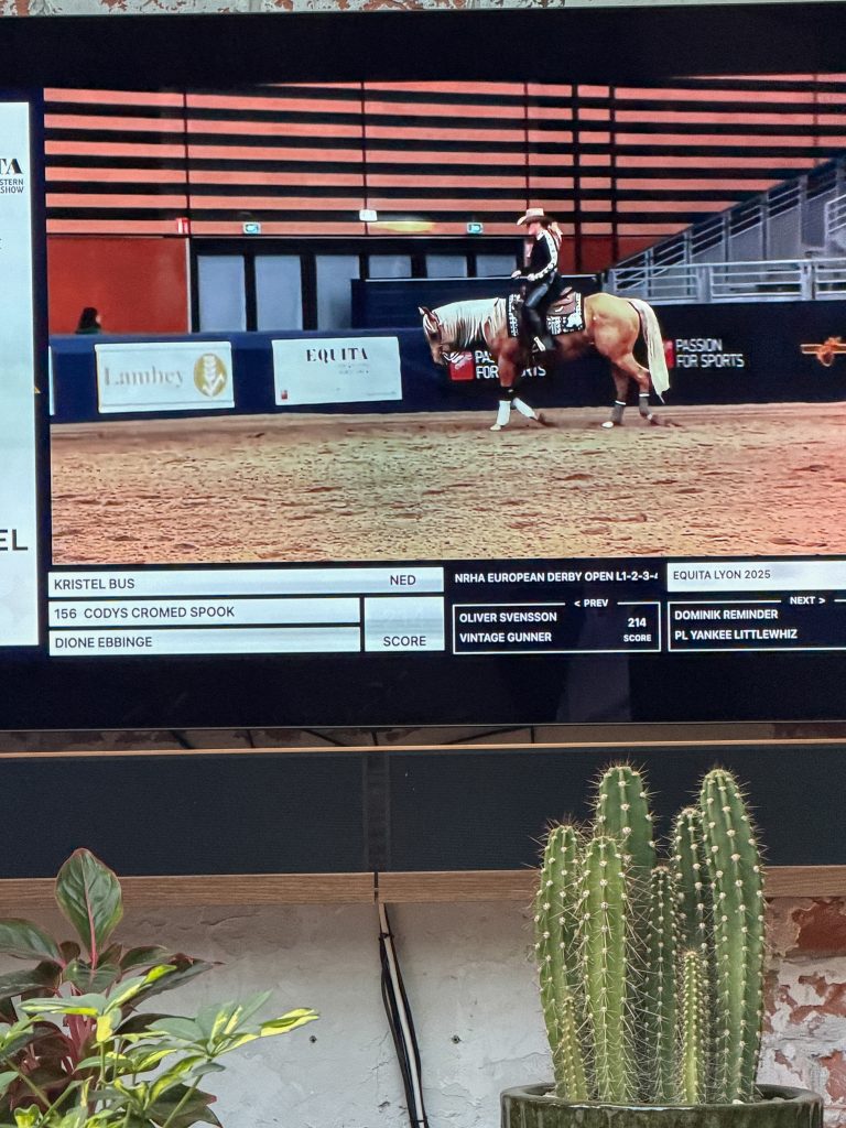 Wedstrijd met paard op tv