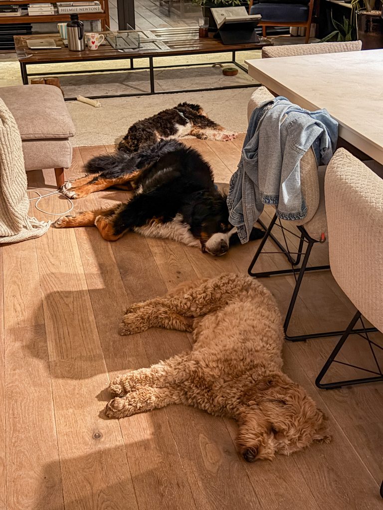 Thuis bij Familie over de Kook: week 45