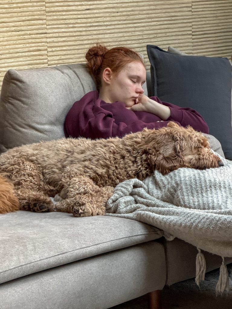 Amaranthe ligt te slapen op de bank met Labradoodle Teun tegen haar aan.