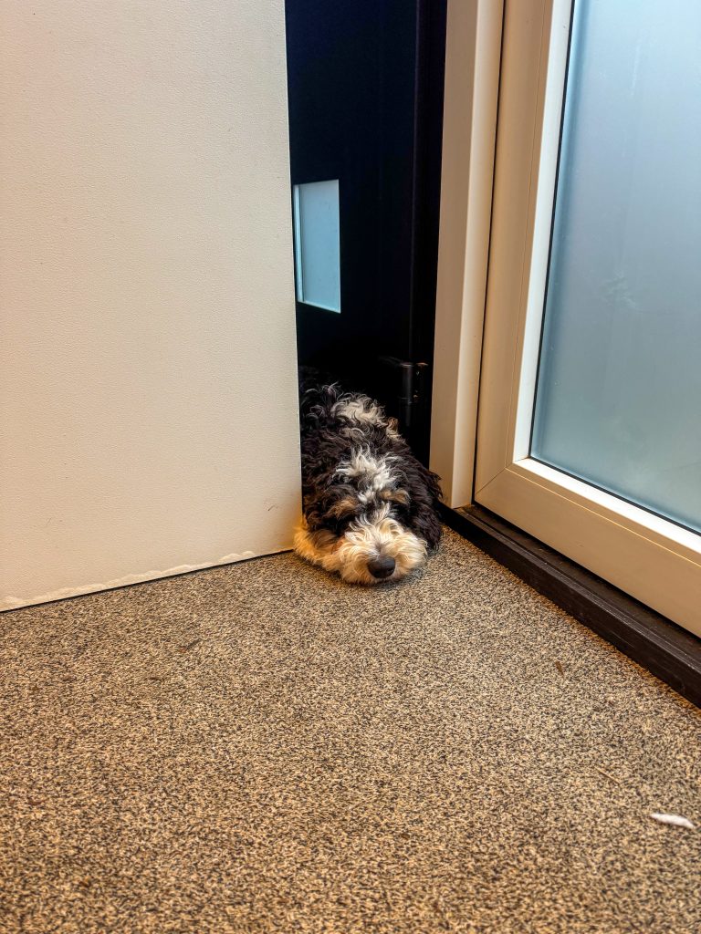 Legend nieuwsgierig bij de deur binnen