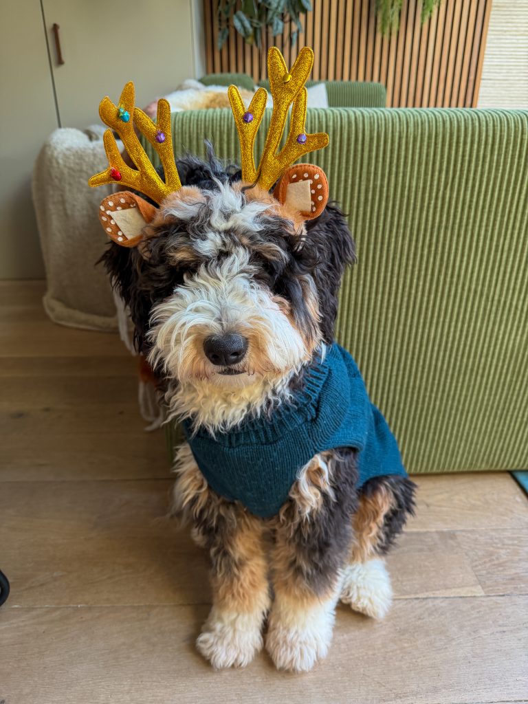 Legend met kerst gewei