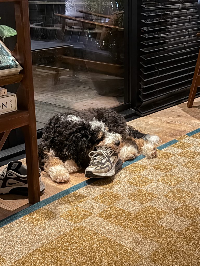 Legend ligt op de schoenen tegen de schuifpui