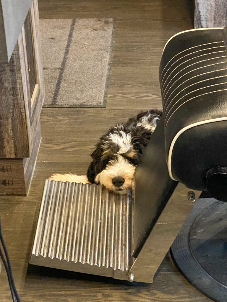 Thuis bij familie over de kook: week 49