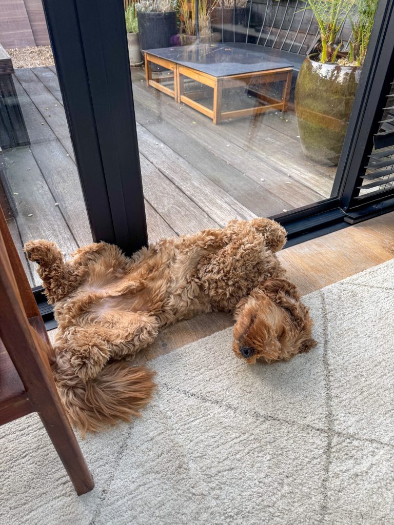 Thuis bij familie over de kook: week 49