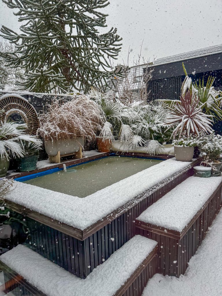 Besneeuwd zwembad in de achtertuin met winterse planten en vallende sneeuw.