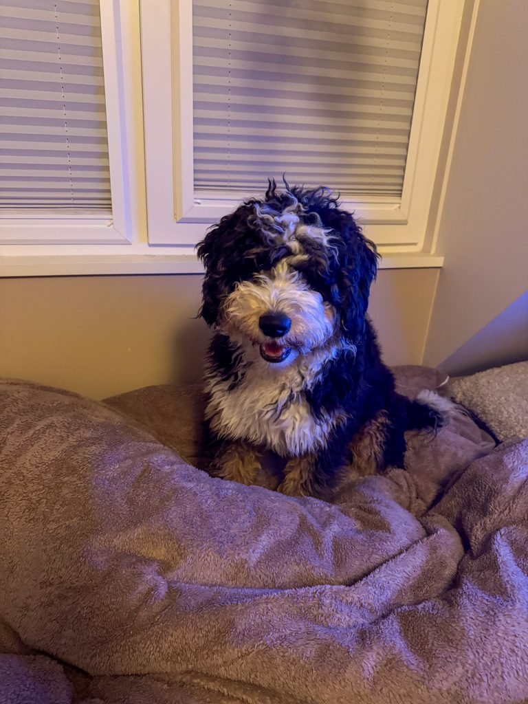 Legend zittend op bed in de slaapkamer