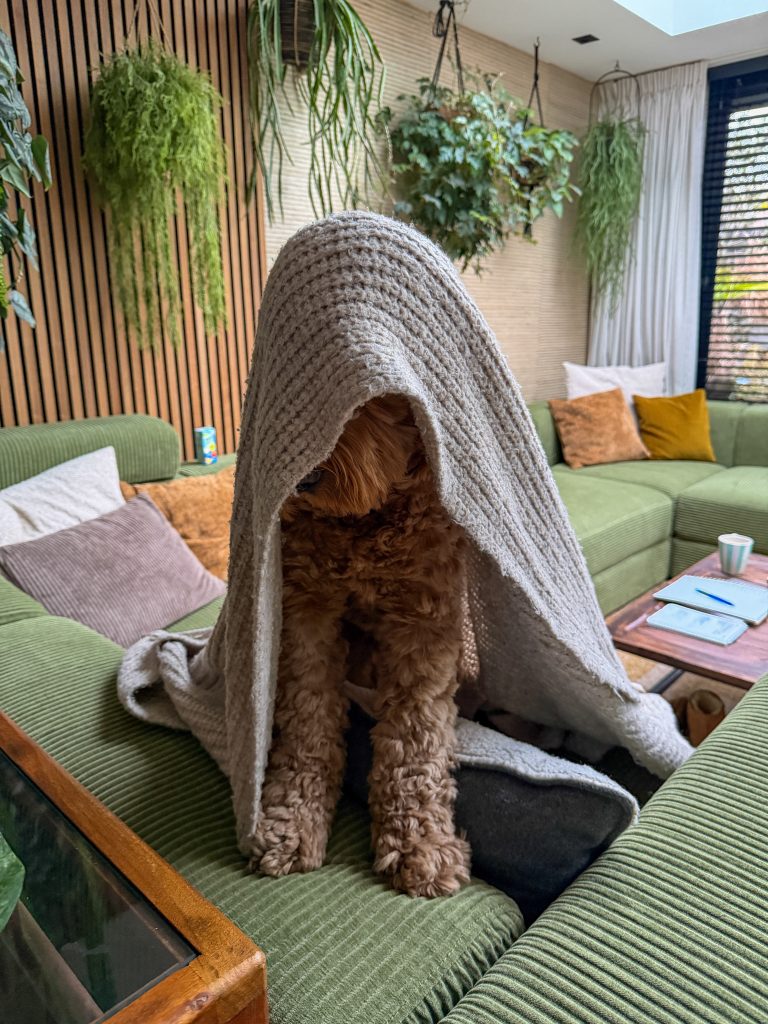 Teun onder een deken verstopt